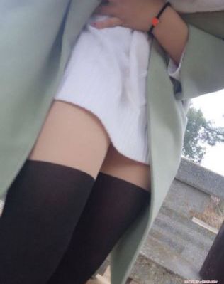 h在线观看h